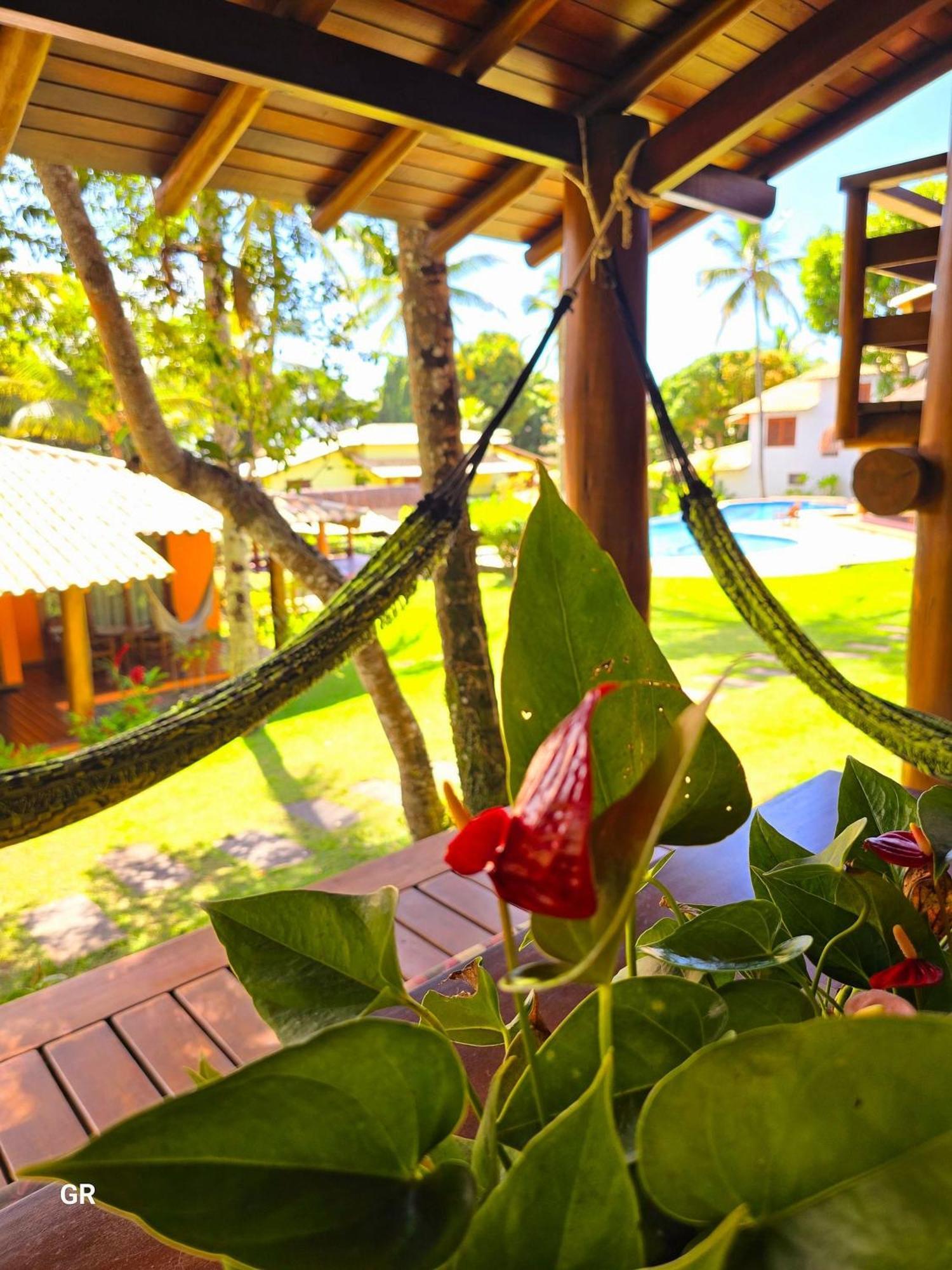פורטו סגורו Top Houses Village Tropical Centro De Arraial מראה חיצוני תמונה